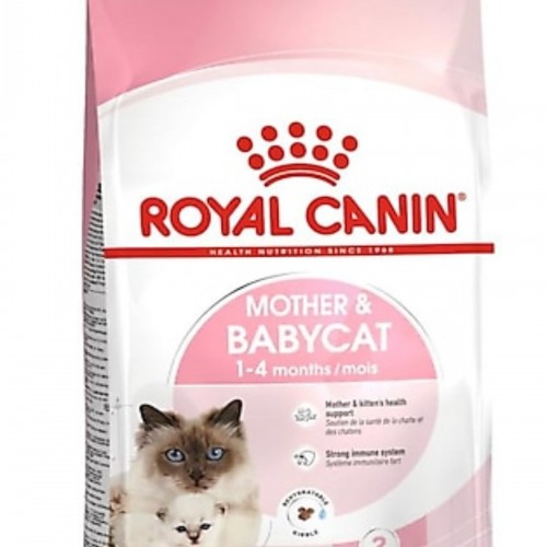Royal Canin Açık Yavru Kedi Maması