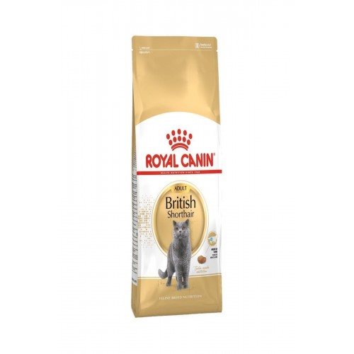 Royal Canin British Shorthair Açık Yetişkin Kedi Maması Royal Canin British Shorthair Açık Yetişkin Kedi Maması