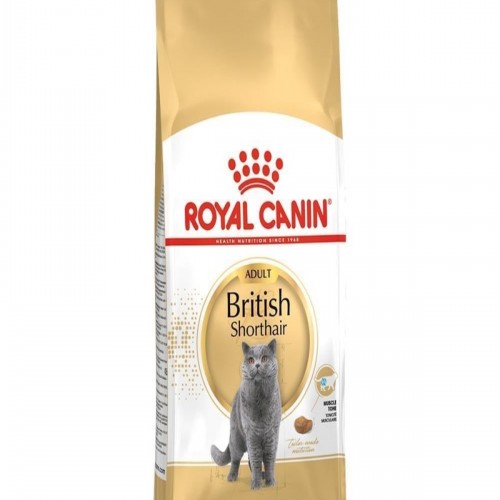 Royal Canin British Shorthair Açık Yetişkin Kedi Maması