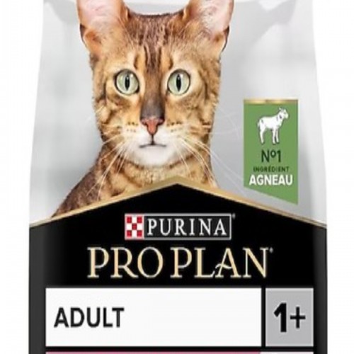 Purina Pro Plan Delicate Kuzu Etli Açık Yetişkin Kedi Maması