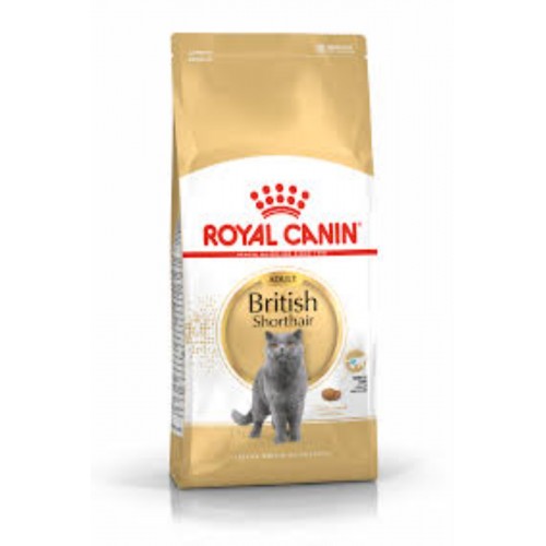 Royal Canin British Shorthair Yetişkin Kedi Maması Royal Canin British Shorthair Yetişkin Kedi Maması