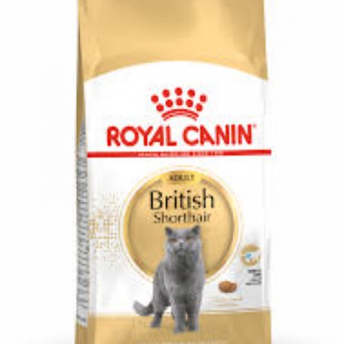 Royal Canin British Shorthair Yetişkin Kedi Maması