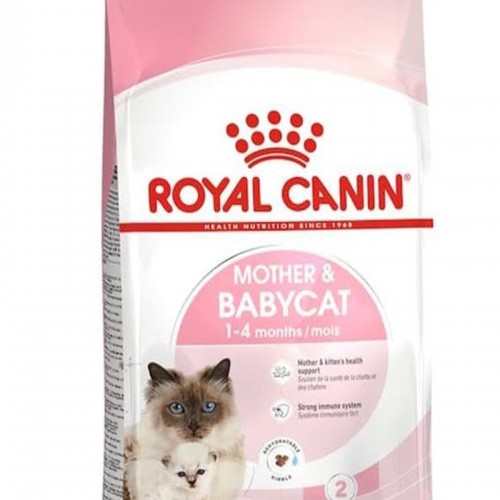 Royal Canin Mother & Babycat Kedi Maması