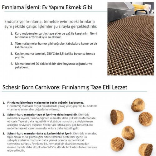 Born Carnivore Tavuklu ve Yumurtalı Tahılsız Kedi Maması 255 Gr