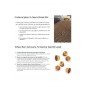 Born Carnivore Tavuklu ve Yumurtalı Tahılsız Kedi Maması 255 Gr Born Carnivore Tavuklu ve Yumurtalı Tahılsız Kedi Maması 255 Gr