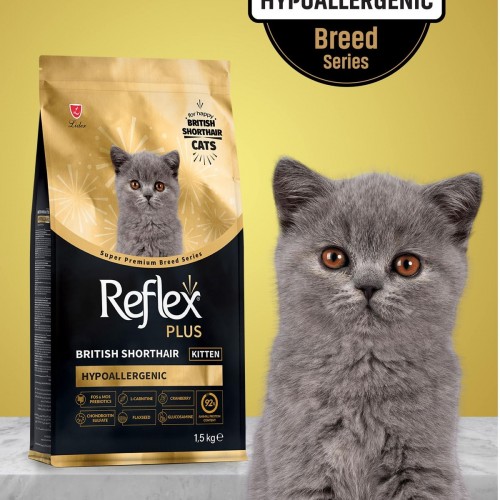 Plus British Shorthair Yavru Kedi Maması 1.5 Kg