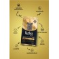Plus British Shorthair Yavru Kedi Maması 1.5 Kg Plus British Shorthair Yavru Kedi Maması 1.5 Kg