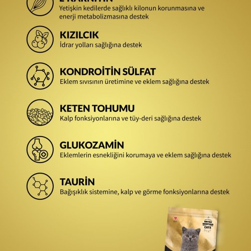 Plus British Shorthair Yavru Kedi Maması 1.5 Kg Plus British Shorthair Yavru Kedi Maması 1.5 Kg