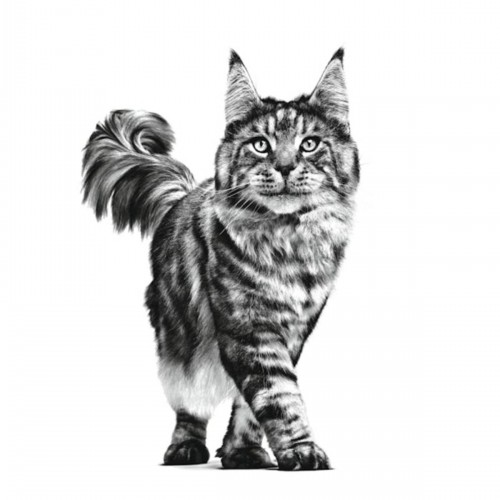 Neutered Satiety Balance - Kısır Kediler Için Özel Doyurucu Mama 12 Kg