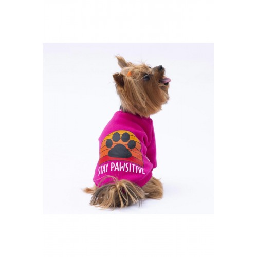 Turkuaz Carmel Kedi Köpek Sweat- Kedi Köpek Kıyafeti Turkuaz Carmel Kedi Köpek Sweat- Kedi Köpek Kıyafeti