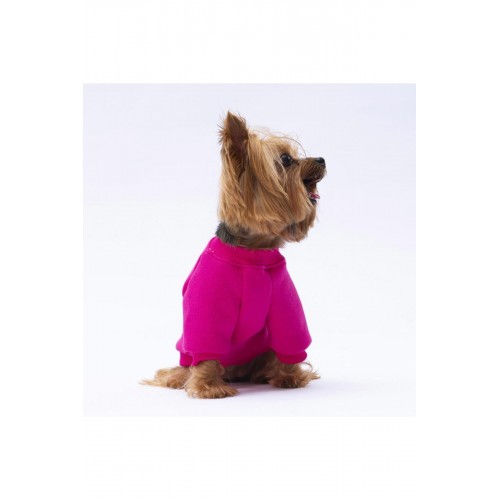 Turkuaz Carmel Kedi Köpek Sweat- Kedi Köpek Kıyafeti Turkuaz Carmel Kedi Köpek Sweat- Kedi Köpek Kıyafeti
