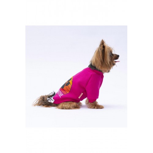 Turkuaz Carmel Kedi Köpek Sweat- Kedi Köpek Kıyafeti Turkuaz Carmel Kedi Köpek Sweat- Kedi Köpek Kıyafeti