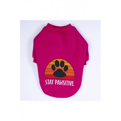 Turkuaz Carmel Kedi Köpek Sweat- Kedi Köpek Kıyafeti Turkuaz Carmel Kedi Köpek Sweat- Kedi Köpek Kıyafeti