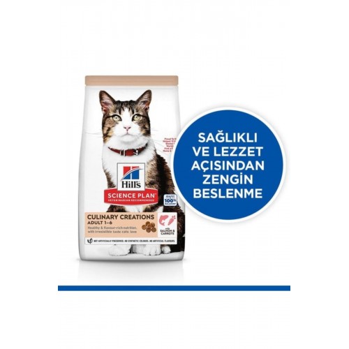 Hills Somonlu Ve Havuclu Yetiskin Kedi Mamasi 1 Kg STERİL PAKETTE YEME GARANTİLİ Hills Somonlu Ve Havuclu Yetiskin Kedi Mamasi 1 Kg STERİL PAKETTE YEME GARANTİLİ