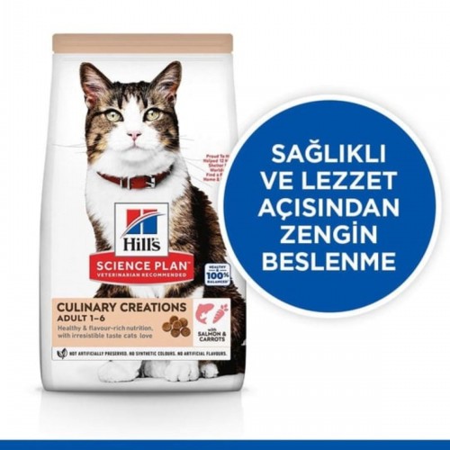 Hills Somonlu Ve Havuclu Yetiskin Kedi Mamasi 1 Kg STERİL PAKETTE YEME GARANTİLİ Hills Somonlu Ve Havuclu Yetiskin Kedi Mamasi 1 Kg STERİL PAKETTE YEME GARANTİLİ