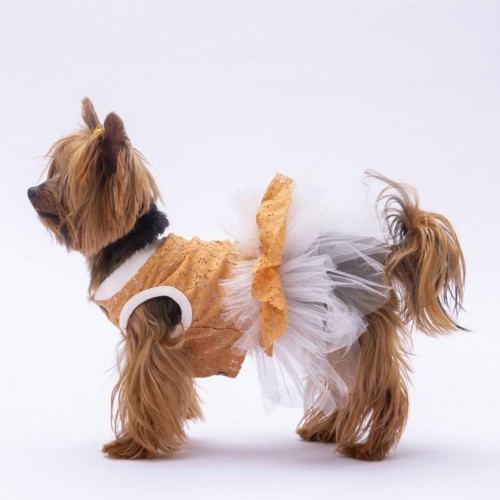 Mavi Primavera Kedi Köpek Elbisesi - Kedi Köpek Kıyafeti