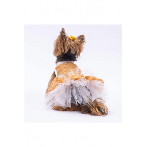 Mavi Primavera Kedi Köpek Elbisesi - Kedi Köpek Kıyafeti Mavi Primavera Kedi Köpek Elbisesi - Kedi Köpek Kıyafeti