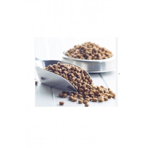 ROYAL CANİN KISIRLAŞTIRILMIŞ Kedi Maması Toplam 2kg ROYAL CANİN KISIRLAŞTIRILMIŞ Kedi Maması Toplam 2kg