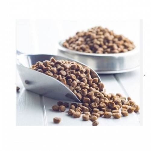 ROYAL CANİN KISIRLAŞTIRILMIŞ Kedi Maması Toplam 2kg ROYAL CANİN KISIRLAŞTIRILMIŞ Kedi Maması Toplam 2kg