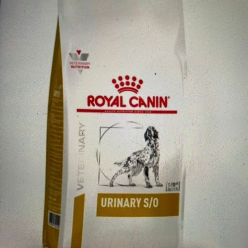 Veterinary Urinary S/o Köpek Kuru Maması 2 Kg (STT:08/2025) - Petshopundan