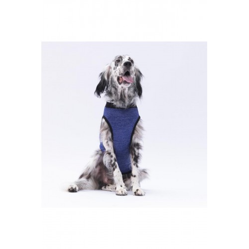 Yeşil Travel Büyük Köpek Tişörtü - Köpek Kıyafeti (15 KG-45 KG) Yeşil Travel Büyük Köpek Tişörtü - Köpek Kıyafeti (15 KG-45 KG)