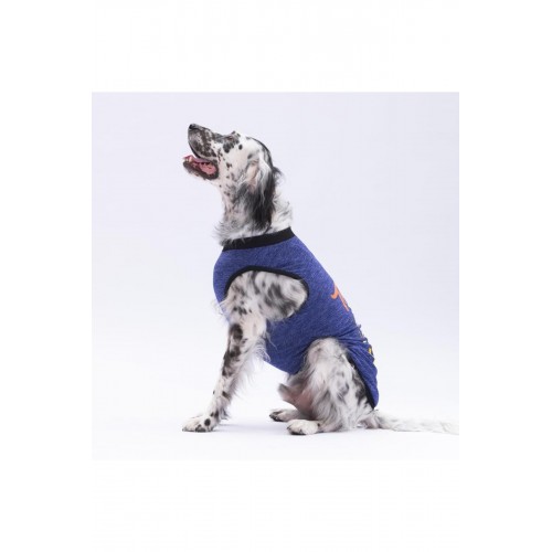 Yeşil Travel Büyük Köpek Tişörtü - Köpek Kıyafeti (15 KG-45 KG) Yeşil Travel Büyük Köpek Tişörtü - Köpek Kıyafeti (15 KG-45 KG)