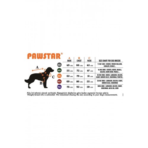 Yeşil Travel Büyük Köpek Tişörtü - Köpek Kıyafeti (15 KG-45 KG) Yeşil Travel Büyük Köpek Tişörtü - Köpek Kıyafeti (15 KG-45 KG)