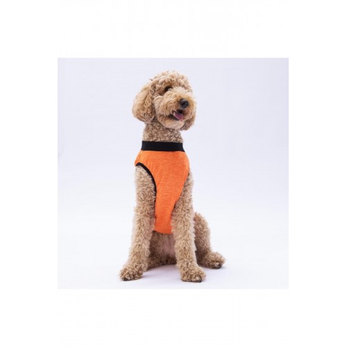 Turuncu Sunrise Büyük Köpek Tişörtü - Köpek Kıyafeti (15 KG-45 KG) Turuncu Sunrise Büyük Köpek Tişörtü - Köpek Kıyafeti (15 KG-45 KG)