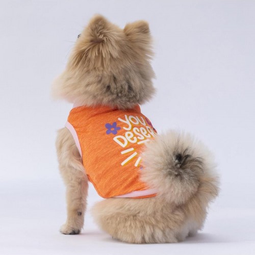 Turuncu Joy Kedi Köpek Tişörtü - Kedi Köpek Kıyafeti