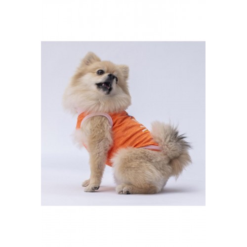 Turuncu Joy Kedi Köpek Tişörtü - Kedi Köpek Kıyafeti Turuncu Joy Kedi Köpek Tişörtü - Kedi Köpek Kıyafeti