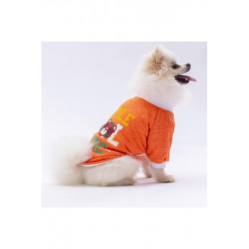 Turuncu Dude Kedi Köpek Sweati - Kedi Köpek Kıyafeti Turuncu Dude Kedi Köpek Sweati - Kedi Köpek Kıyafeti