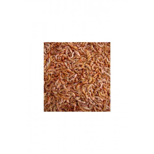 Gammarus 500g