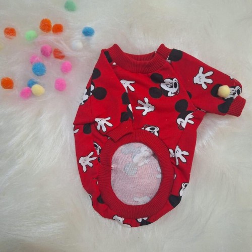 Kedi Köpek Kıyafeti