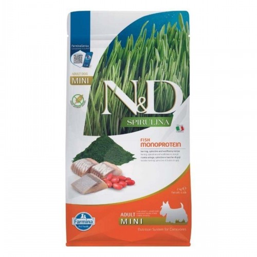 Spirulina Herring Ringa Balıklı Küçük Irk Tahılsız Yetişkin Köpek Maması 2 Kg