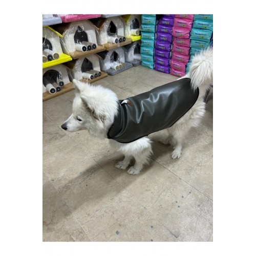 köpek deri yağmurluk köpek deri yağmurluk
