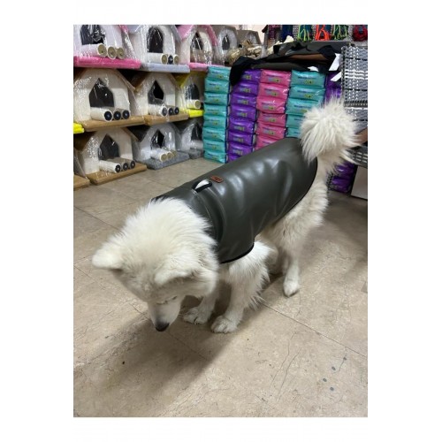 köpek deri yağmurluk köpek deri yağmurluk