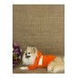 Turuncu Cute Köpek Hoodie Köpek Sweat Köpek Kıyafeti Kedi Kıyafeti Turuncu Cute Köpek Hoodie Köpek Sweat Köpek Kıyafeti Kedi Kıyafeti