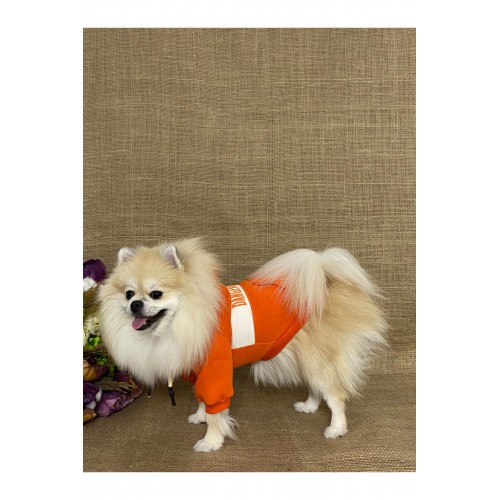 Turuncu Cute Köpek Hoodie Köpek Sweat Köpek Kıyafeti Kedi Kıyafeti Turuncu Cute Köpek Hoodie Köpek Sweat Köpek Kıyafeti Kedi Kıyafeti