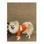 Turuncu Cute Köpek Hoodie Köpek Sweat Köpek Kıyafeti Kedi Kıyafeti Turuncu Cute Köpek Hoodie Köpek Sweat Köpek Kıyafeti Kedi Kıyafeti