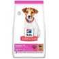 Hills Puppy Kuzulu Küçük Irk Yavru Köpek Maması 6kg Hills Puppy Kuzulu Küçük Irk Yavru Köpek Maması 6kg