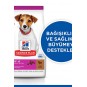 Hills Puppy Kuzulu Küçük Irk Yavru Köpek Maması 6kg Hills Puppy Kuzulu Küçük Irk Yavru Köpek Maması 6kg