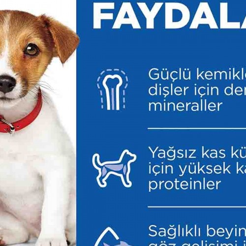 Hills Puppy Kuzulu Küçük Irk Yavru Köpek Maması 6kg Hills Puppy Kuzulu Küçük Irk Yavru Köpek Maması 6kg