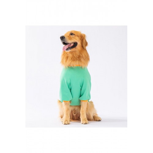 Mint Bone Hunter Orta ve Büyük Irk Köpek Sweati Köpek Kıyafeti Köpek Elbisesi Mint Bone Hunter Orta ve Büyük Irk Köpek Sweati Köpek Kıyafeti Köpek Elbisesi
