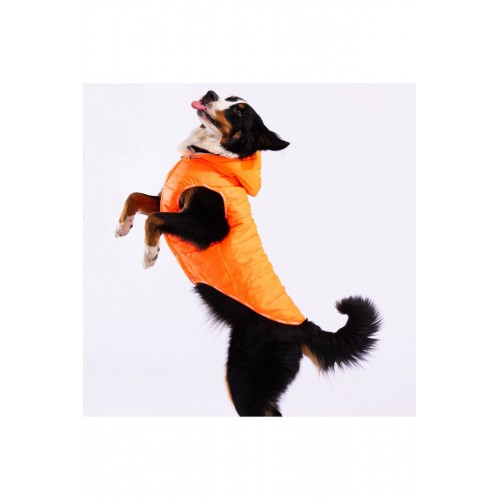Neon Turuncu Railway Orta ve Büyük Irklar İçin Anorak Köpek Yeleği Köpek Kıyafeti Köpek Yağmurluk Neon Turuncu Railway Orta ve Büyük Irklar İçin Anorak Köpek Yeleği Köpek Kıyafeti Köpek Yağmurluk