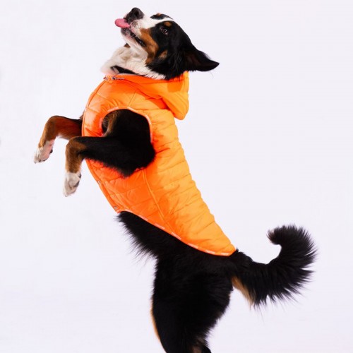 Neon Turuncu Railway Orta ve Büyük Irklar İçin Anorak Köpek Yeleği Köpek Kıyafeti Köpek Yağmurluk
