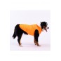 Neon Turuncu Railway Orta ve Büyük Irklar İçin Anorak Köpek Yeleği Köpek Kıyafeti Köpek Yağmurluk Neon Turuncu Railway Orta ve Büyük Irklar İçin Anorak Köpek Yeleği Köpek Kıyafeti Köpek Yağmurluk