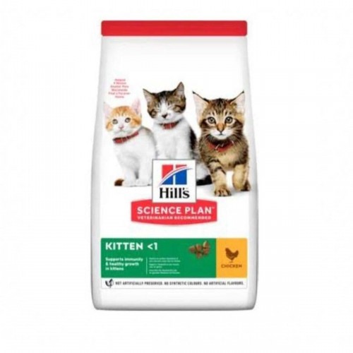 Kitten Tavuklu Yavru Kedi Maması 1,5 Kg Kitten Tavuklu Yavru Kedi Maması 1,5 Kg