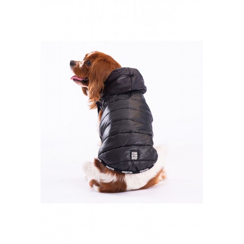 Mor Railway Anorak Yelek Köpek Yeleği Köpek Kıyafeti Köpek Yağmurluk Mor Railway Anorak Yelek Köpek Yeleği Köpek Kıyafeti Köpek Yağmurluk