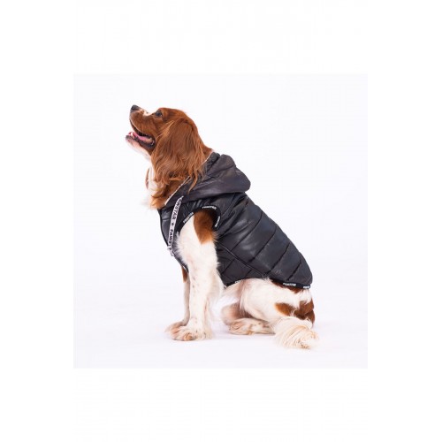 Mor Railway Anorak Yelek Köpek Yeleği Köpek Kıyafeti Köpek Yağmurluk Mor Railway Anorak Yelek Köpek Yeleği Köpek Kıyafeti Köpek Yağmurluk