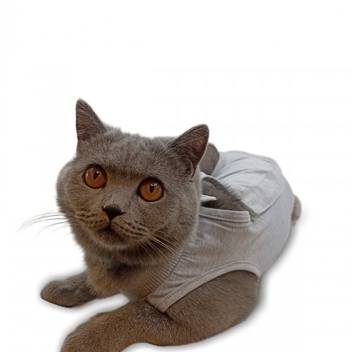 Ameliyat Sonrası Kedi Kıyafeti / Kedi Tulumu / Kedi Korsesi